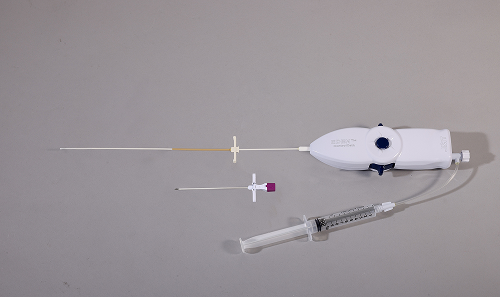 Spinal Fixation System