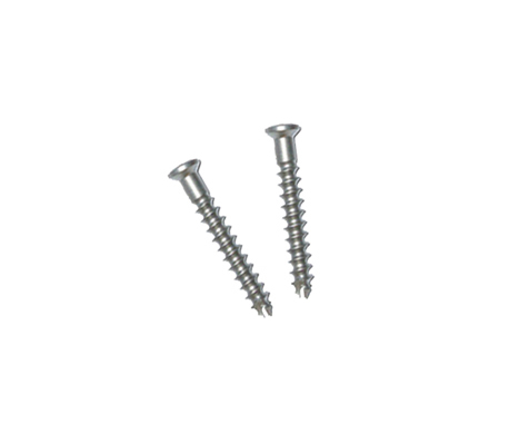 cancellous screw, spiked washer