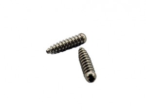 Interference Screw